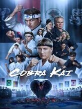 Cobra Kai S06 EP01-10 (Hin + Eng) 